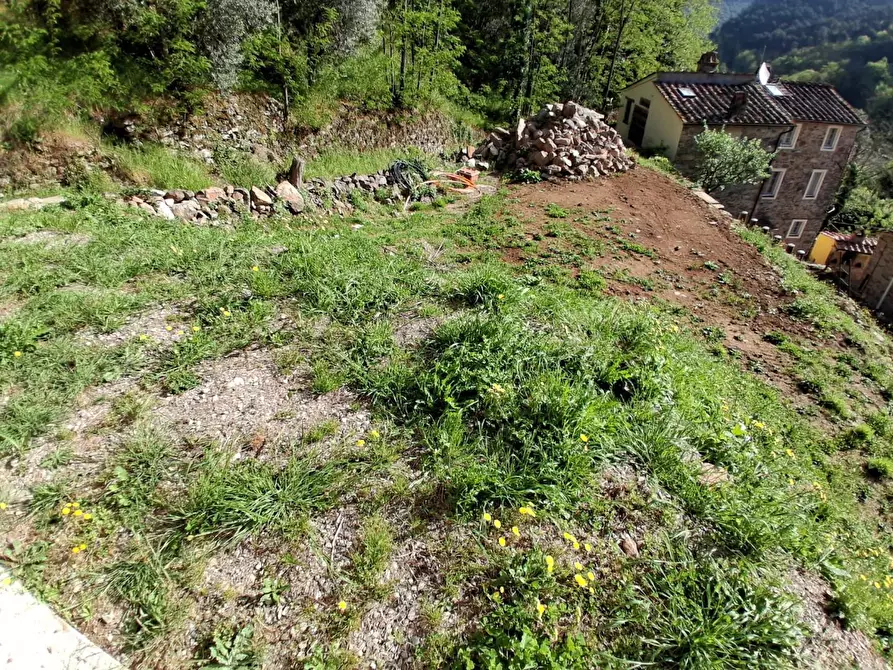 Immagine 38 di Rustico / casale in vendita  a Capannori
