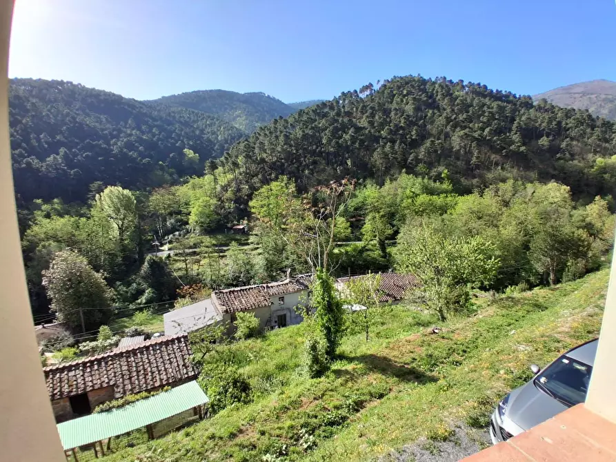 Immagine 4 di Rustico / casale in vendita  a Capannori