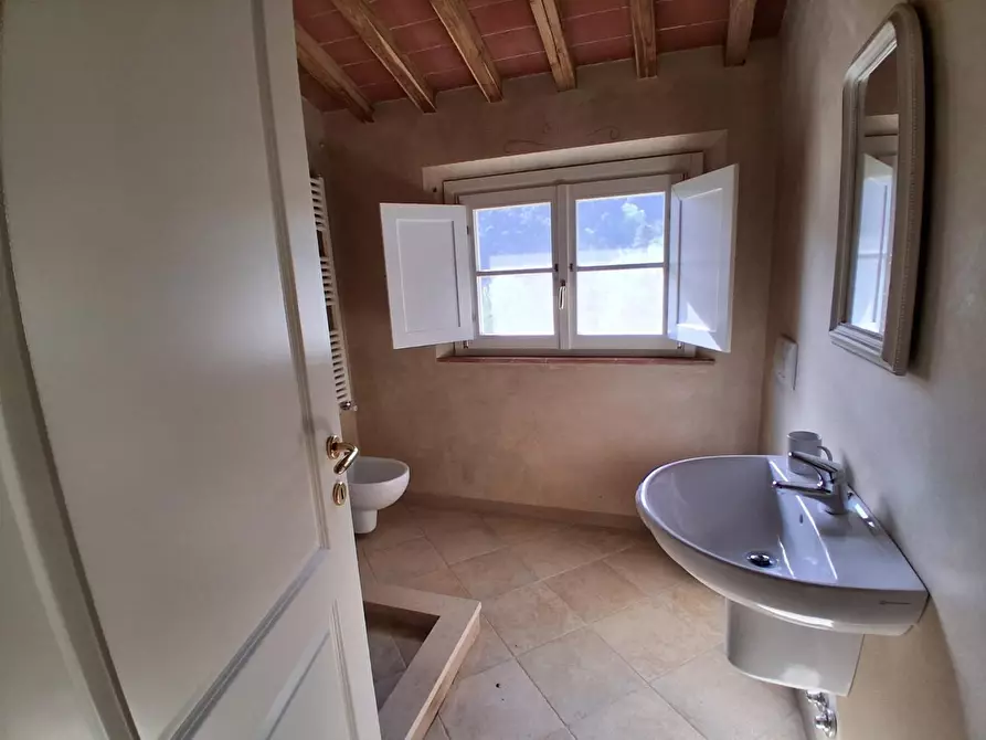 Immagine 29 di Rustico / casale in vendita  a Capannori