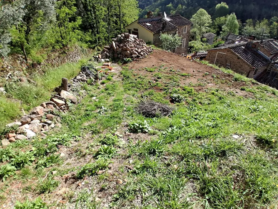 Immagine 6 di Rustico / casale in vendita  a Capannori