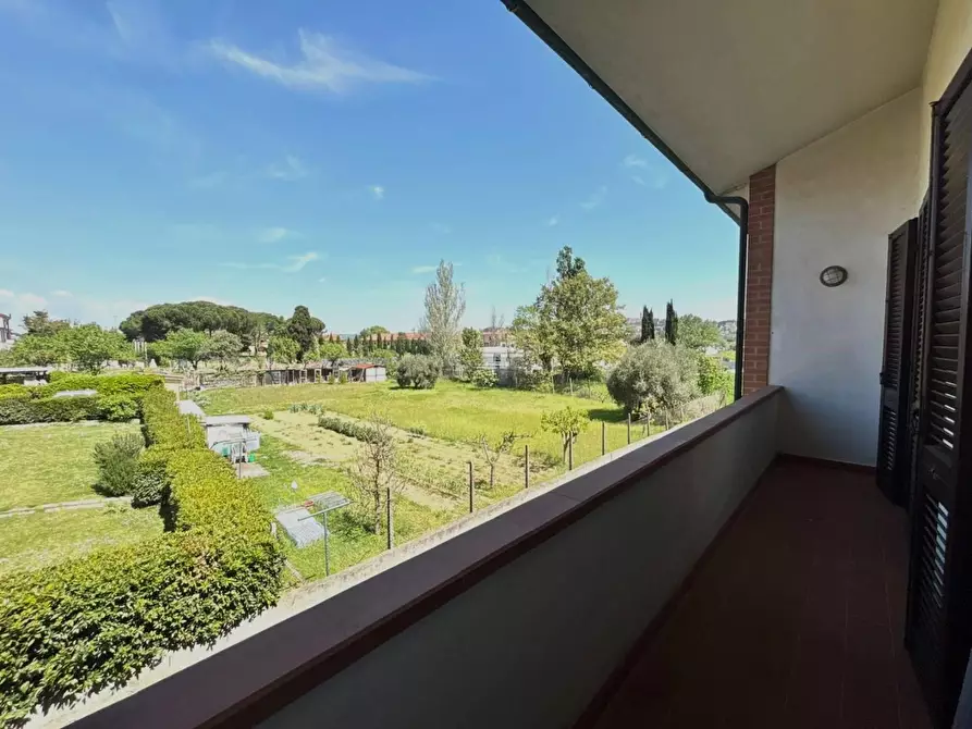 Immagine 18 di Villetta a schiera in vendita  a Terricciola