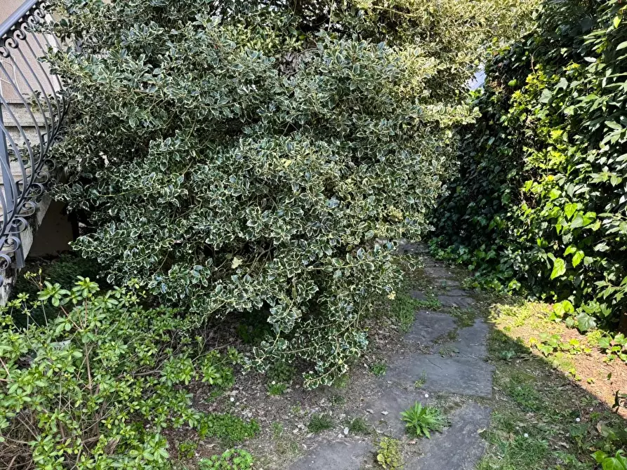 Immagine 5 di Villa in vendita  a Montignoso