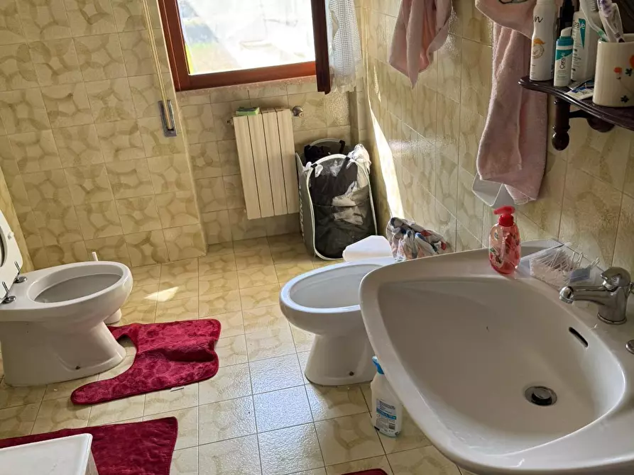 Immagine 11 di Villa in vendita  a Montignoso