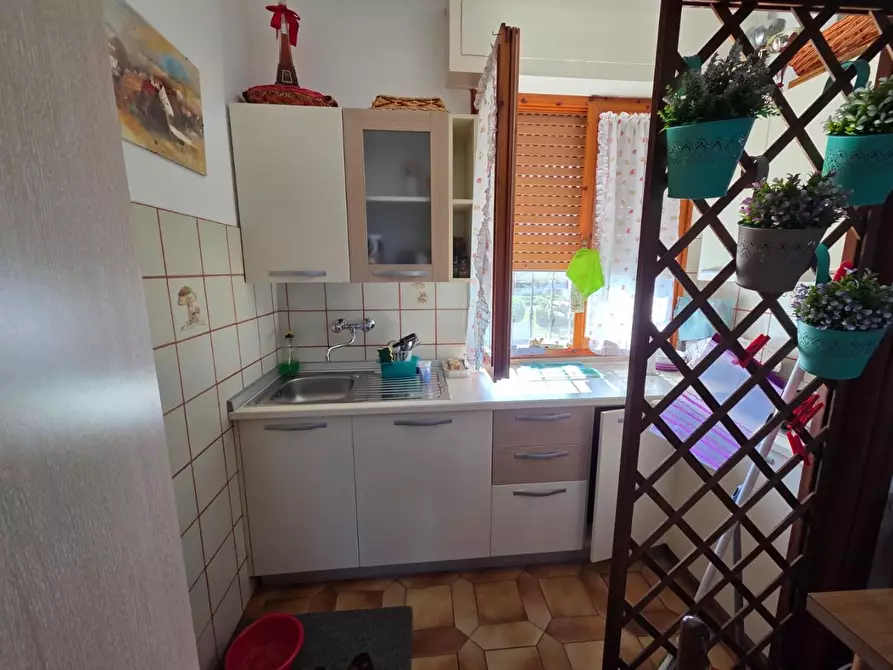 Immagine 8 di Appartamento in vendita  a Rosignano Marittimo