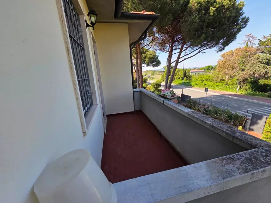 Immagine 4 di Appartamento in vendita  a Rosignano Marittimo