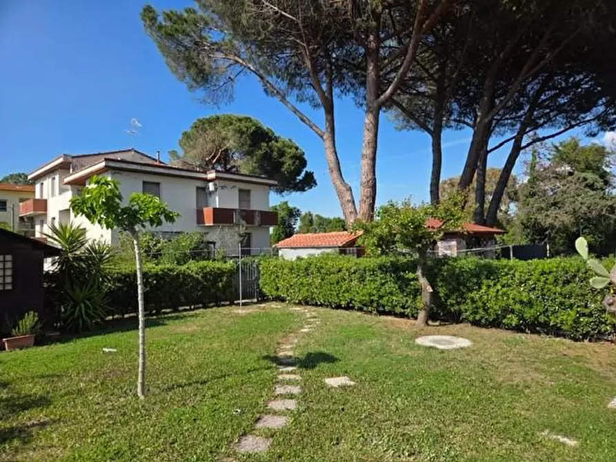 Immagine 3 di Appartamento in vendita  a Rosignano Marittimo