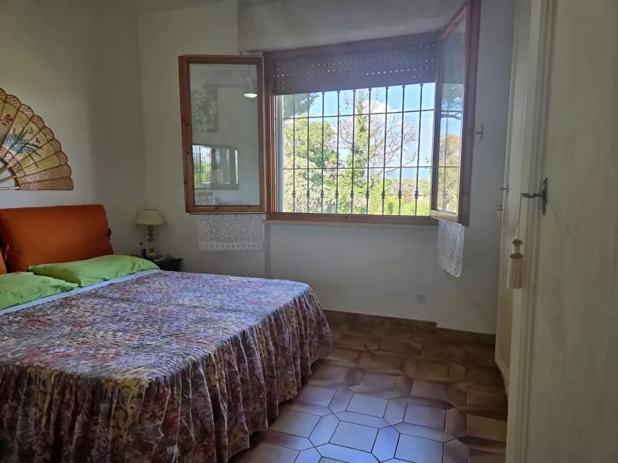 Immagine 15 di Appartamento in vendita  a Rosignano Marittimo