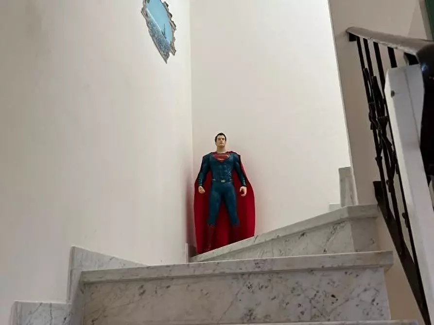 Immagine 18 di Villa in vendita  a Forte Dei Marmi