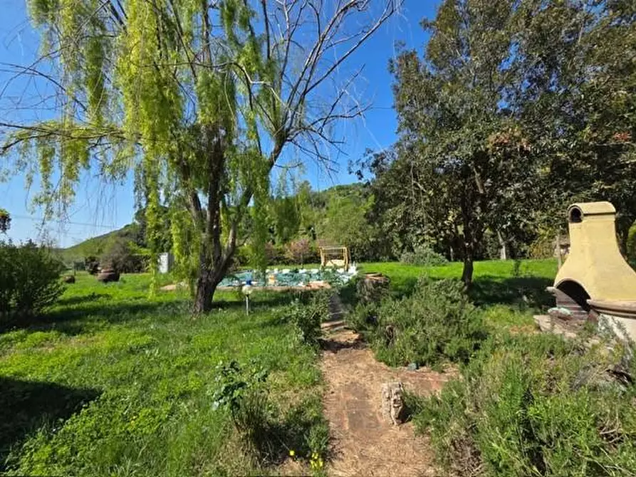 Immagine 5 di Casa indipendente in vendita  a Riparbella