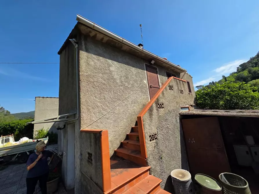 Immagine 3 di Casa indipendente in vendita  a Riparbella