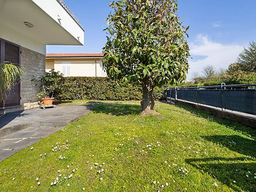 Immagine 5 di Casa indipendente in vendita  a Camaiore