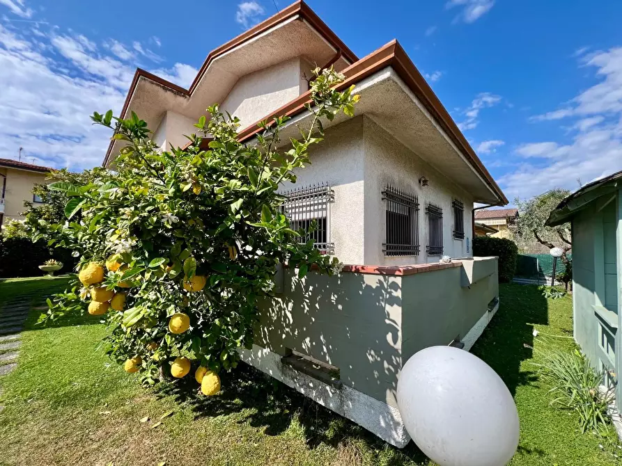 Immagine 2 di Villa in vendita  a Massa