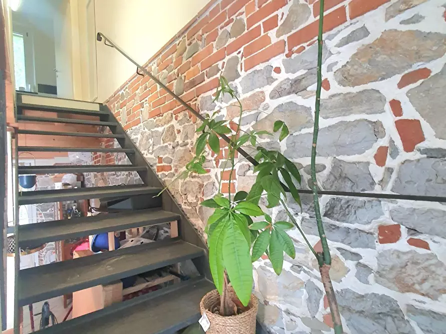 Immagine 18 di Terratetto in vendita  a Capannori