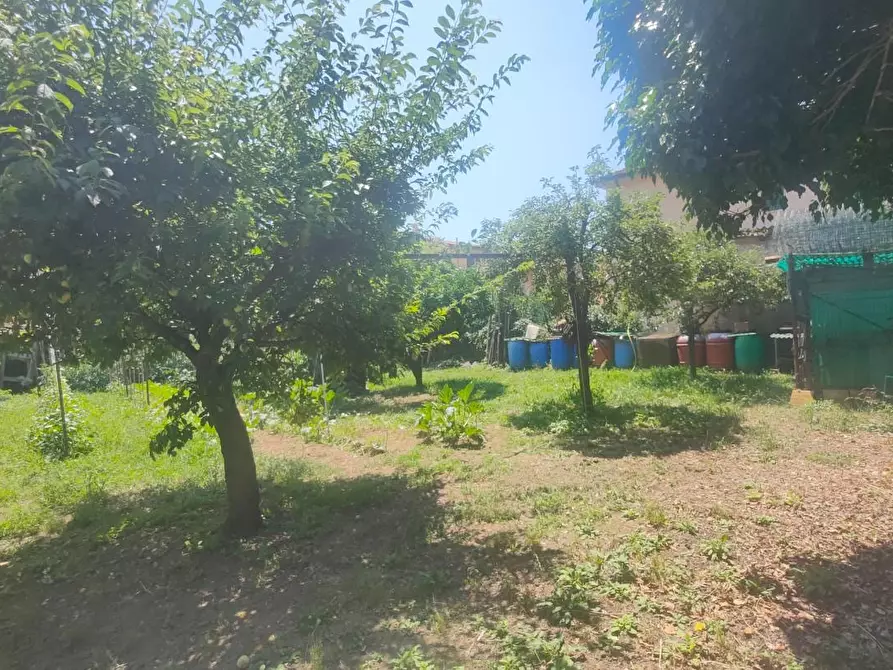 Immagine 4 di Casa indipendente in vendita  a Massa