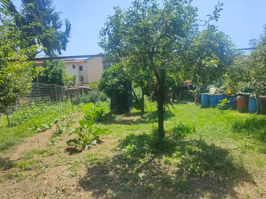 Immagine 6 di Casa indipendente in vendita  a Massa