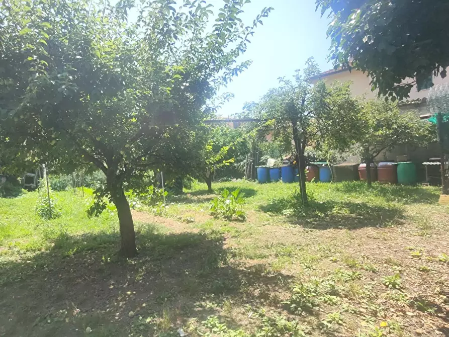 Immagine 5 di Casa indipendente in vendita  a Massa