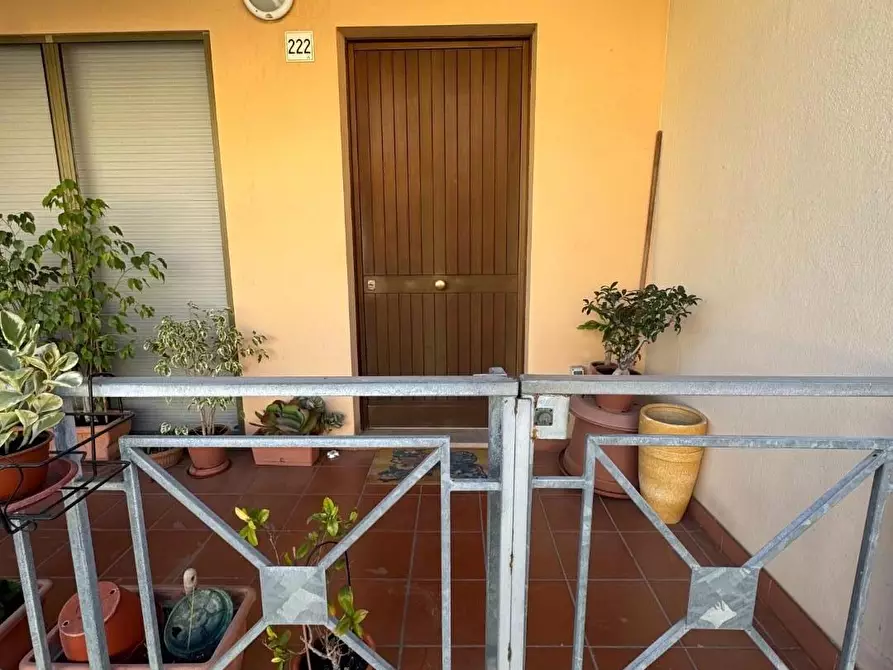 Immagine 2 di Appartamento in vendita  a Livorno