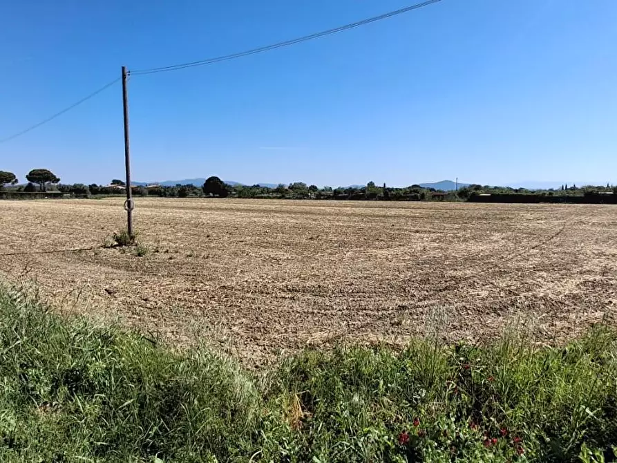 Immagine 1 di Terreno agricolo in vendita  a Grosseto