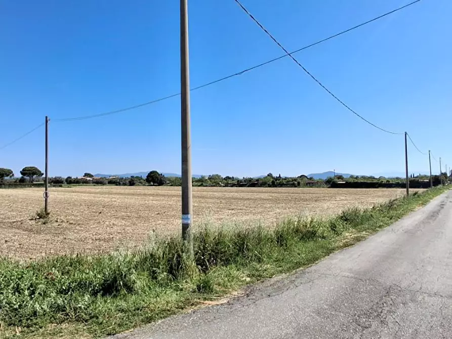 Immagine 4 di Terreno agricolo in vendita  a Grosseto