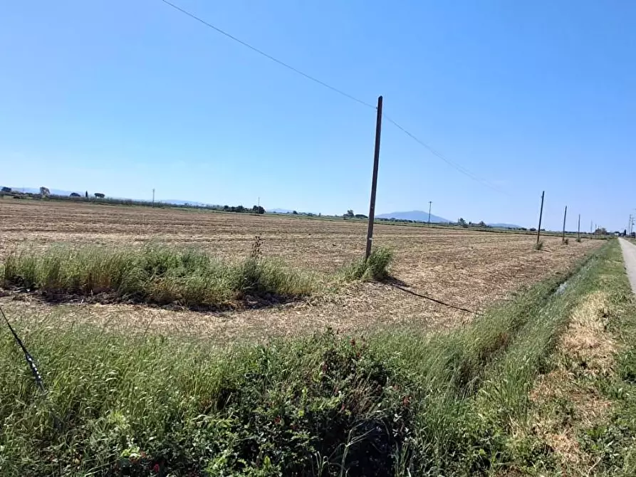 Immagine 3 di Terreno agricolo in vendita  a Grosseto