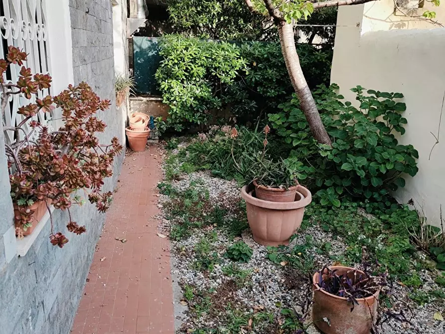 Immagine 2 di Appartamento in vendita  a Livorno