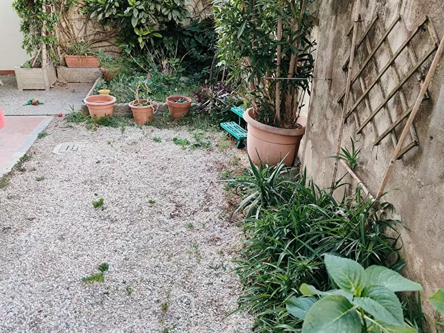 Immagine 3 di Appartamento in vendita  a Livorno