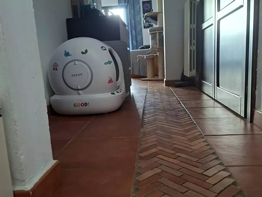Immagine 12 di Casa indipendente in vendita  a Massa