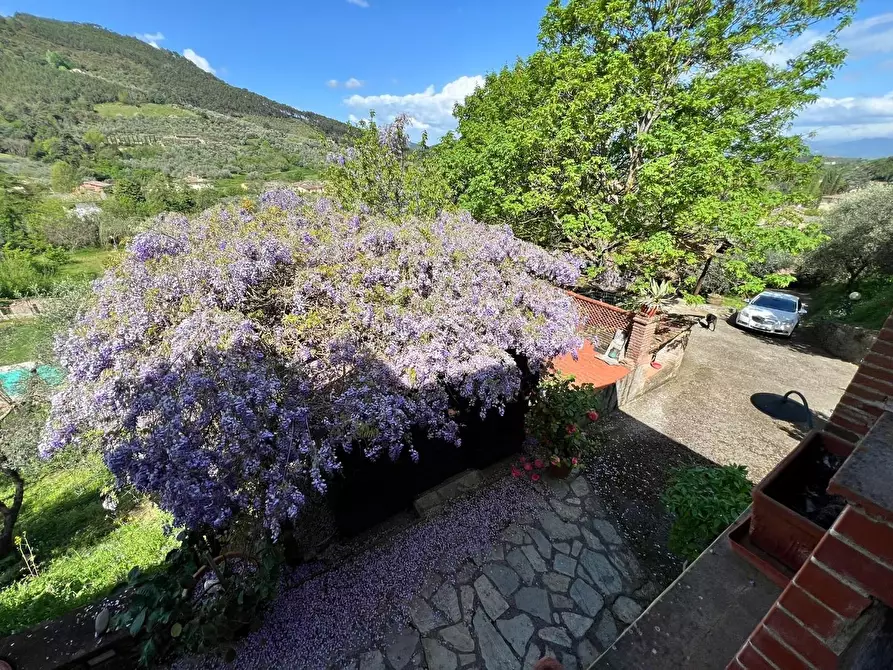 Immagine 3 di Rustico / casale in vendita  a Capannori