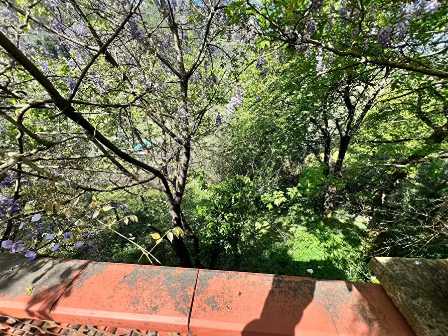 Immagine 12 di Rustico / casale in vendita  a Capannori