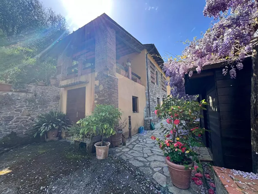 Immagine 24 di Rustico / casale in vendita  a Capannori