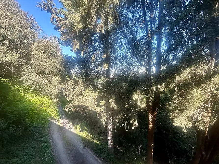 Immagine 19 di Porzione di casa in vendita  a Monteriggioni