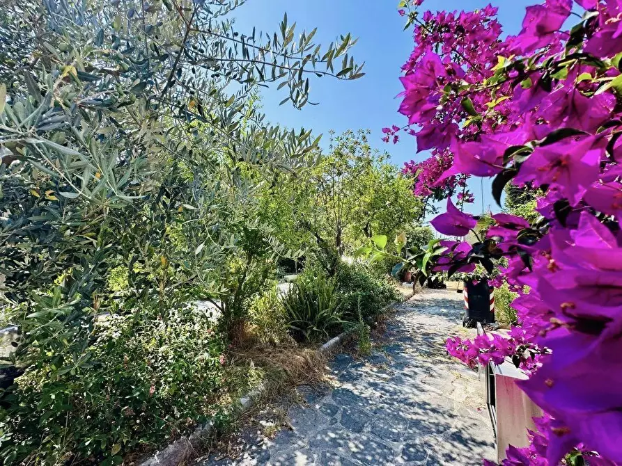 Immagine 4 di Villa in vendita  a Carrara