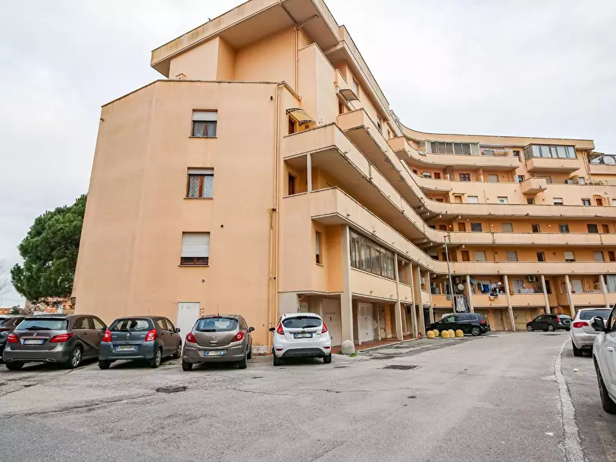 Immagine 22 di Appartamento in vendita  a Pisa