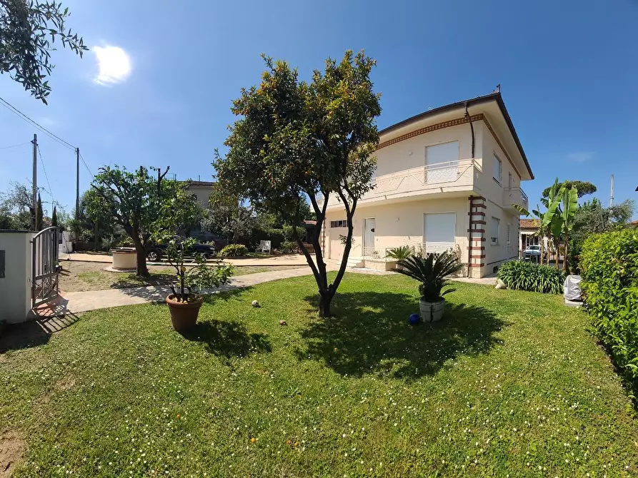 Immagine 7 di Villa in affitto  a Pietrasanta
