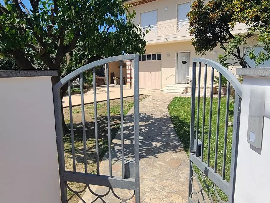 Immagine 6 di Villa in affitto  a Pietrasanta