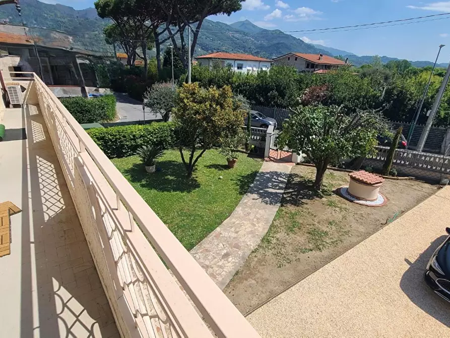 Immagine 2 di Villa in affitto  a Pietrasanta
