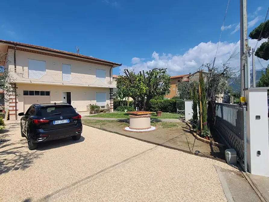 Immagine 3 di Villa in affitto  a Pietrasanta