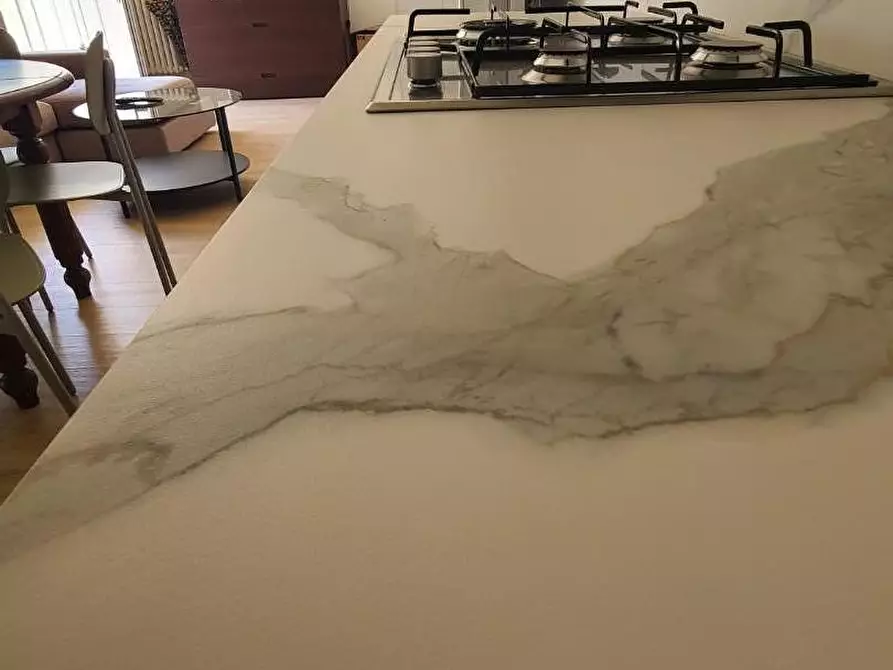 Immagine 14 di Villa in affitto  a Pietrasanta