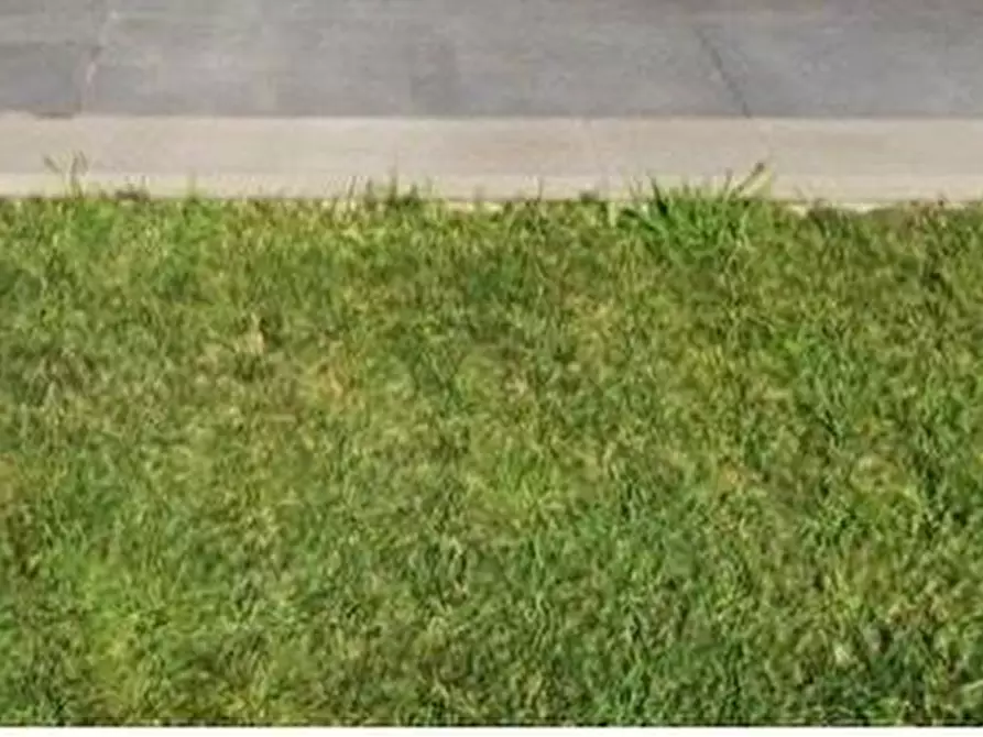 Immagine 1 di Appartamento in vendita  a Sarzana