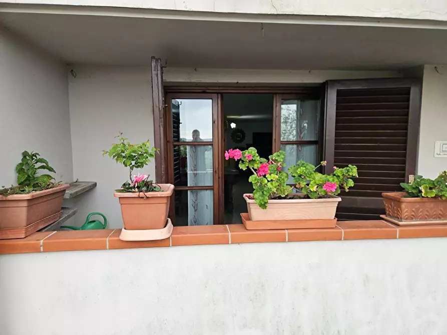 Immagine 5 di Appartamento in vendita  a Rosignano Marittimo