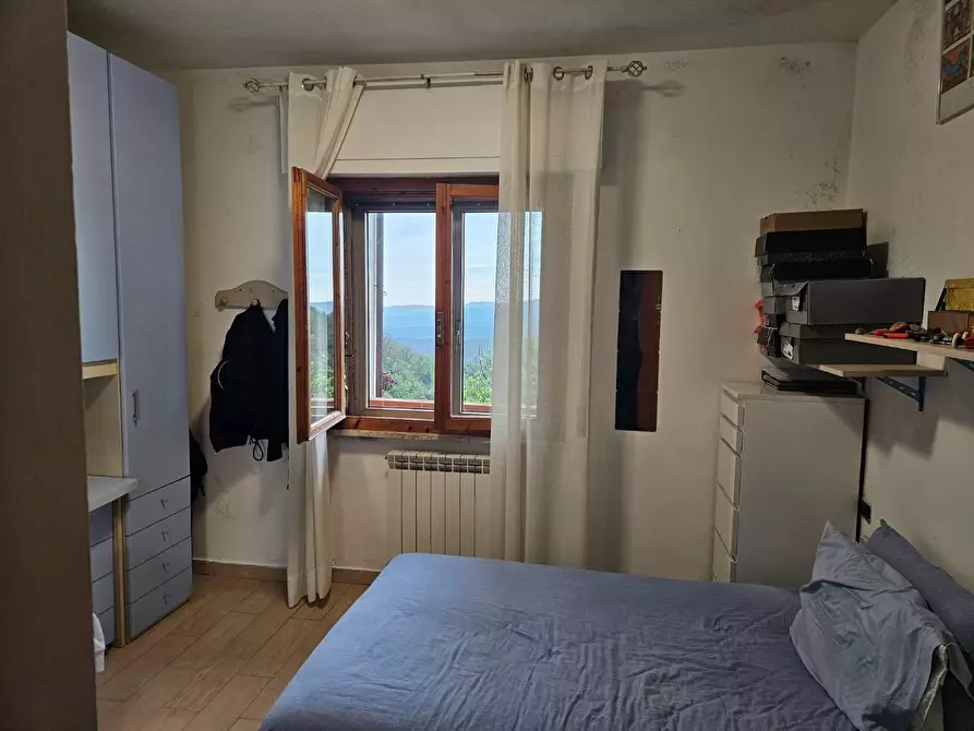 Immagine 15 di Appartamento in vendita  a Rosignano Marittimo