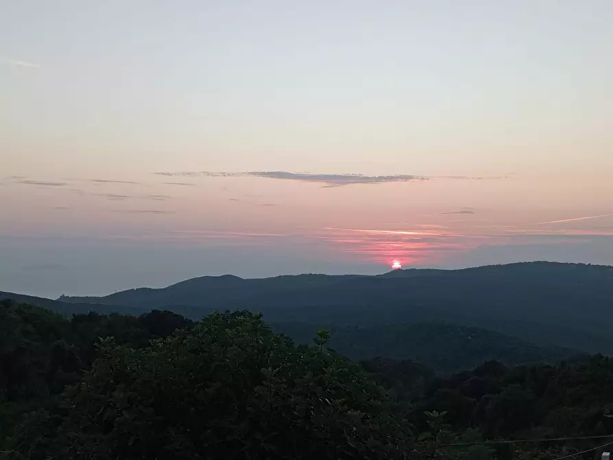 Immagine 6 di Appartamento in vendita  a Rosignano Marittimo