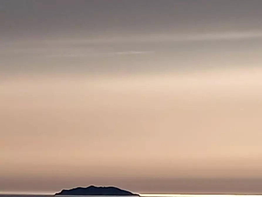 Immagine 7 di Appartamento in vendita  a Rosignano Marittimo