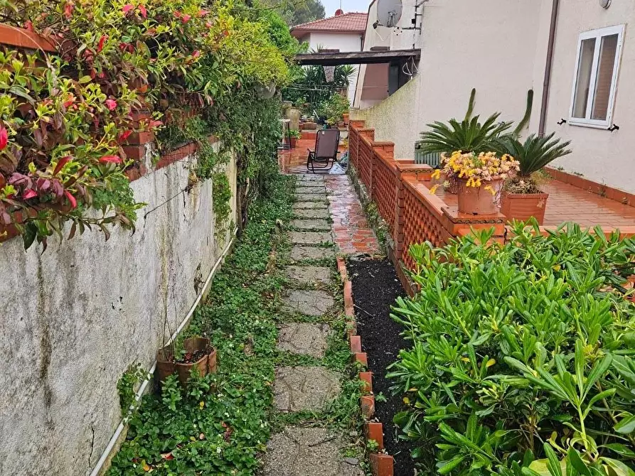 Immagine 4 di Appartamento in vendita  a Rosignano Marittimo