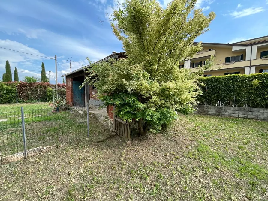 Immagine 21 di Terratetto in vendita  a Capannori