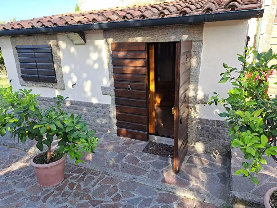 Immagine 9 di Azienda agricola in vendita  a Piancastagnaio