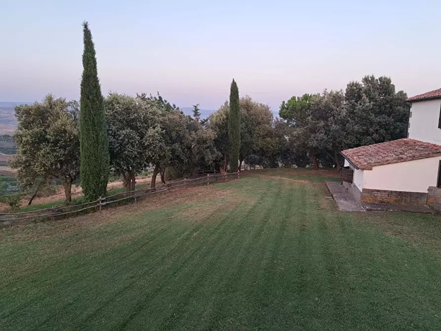 Immagine 13 di Azienda agricola in vendita  a Piancastagnaio