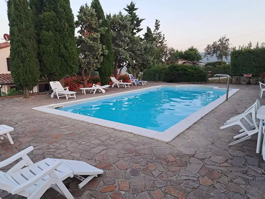 Immagine 10 di Azienda agricola in vendita  a Piancastagnaio