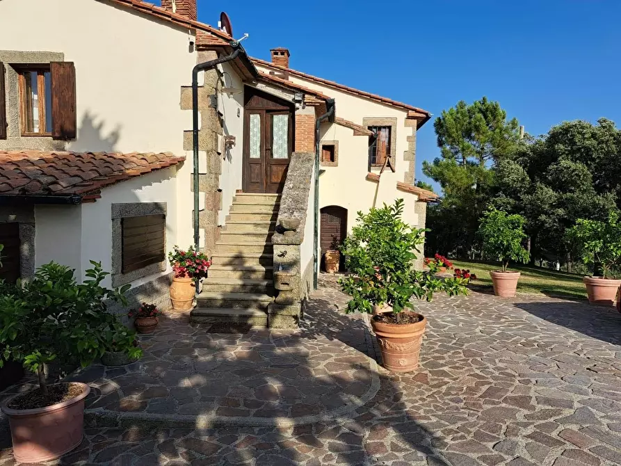 Immagine 12 di Azienda agricola in vendita  a Piancastagnaio