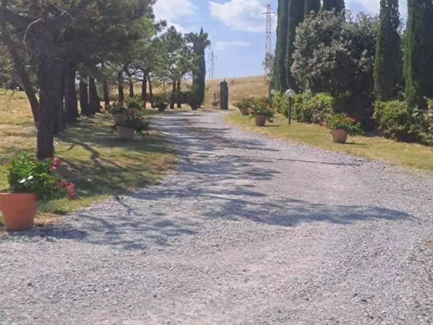 Immagine 24 di Azienda agricola in vendita  a Piancastagnaio